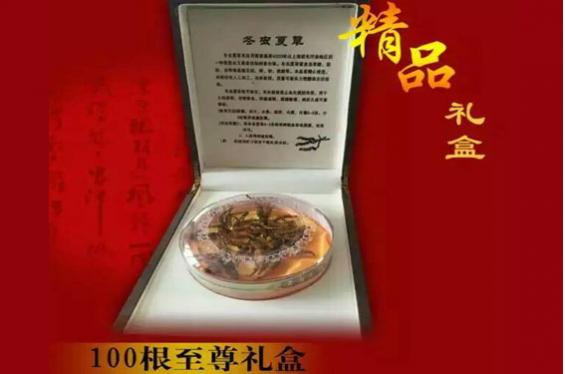 冬虫夏草 一级100根装