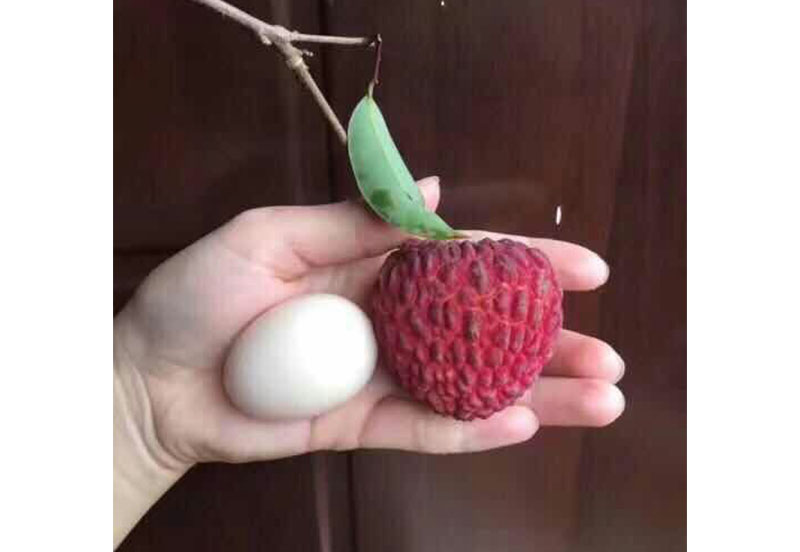 ֦ ֦5