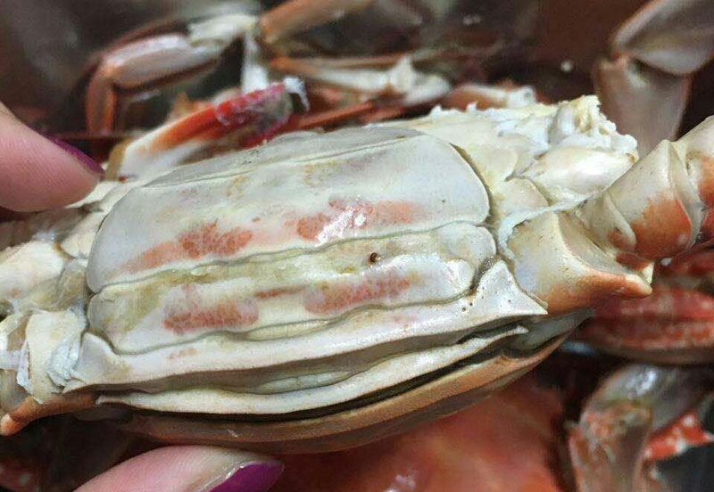 梭子蟹 红膏(母)蟹3-5两 _梭子蟹_舟山梭子蟹_水产_德英商城官网